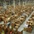 Amazon, i giudici spengono le speranze dei lavoratori precari