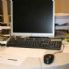 Comune, black out informatico Esposto in procura sul bando