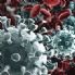 DDL recante misure urgenti in materia di contenimento e gestione dell'emergenza epidemiologica da COVID-19 - L'Europa batta un colpo