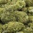 Droga, servono altre iniziative