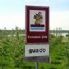 Foti (Fdi-An): 'Promuovere itinerario Via Francigena anche con altre Regioni'