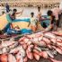 Interventi per il settore ittico - Legge carente in piu' punti, occorreva un approfondimento 
