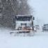 MALTEMPO. FDI: RI-NEVICHERA', ENEL-TERNA METTANO LINEE AL SICURO
