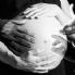 Maternita' surrogata 'reato universale' Il disegno di legge ottiene il primo