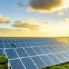 Maxi fotovoltaico sui campi a Polignano il Tar da' ragione al Comune, addio lavori