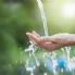Mirafiori, torna acqua per irrigare i campi ecco il traversante