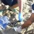 Stupri Rimini:Foti; E-R condanni,si costituisca parte civile