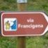 Turismo, Foti: 'Promuovere itinerario Via Francigena anche con altre Regioni'
